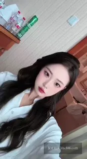 十一