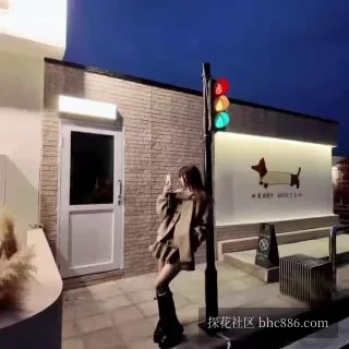 猫猫酱