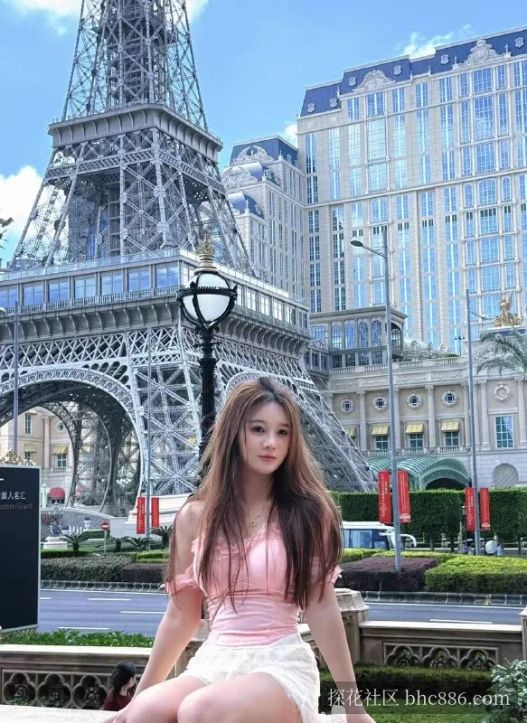菜菜