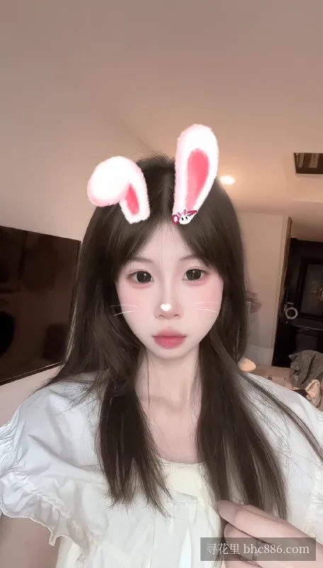 猫猫