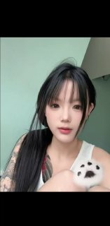 呆呆鱼